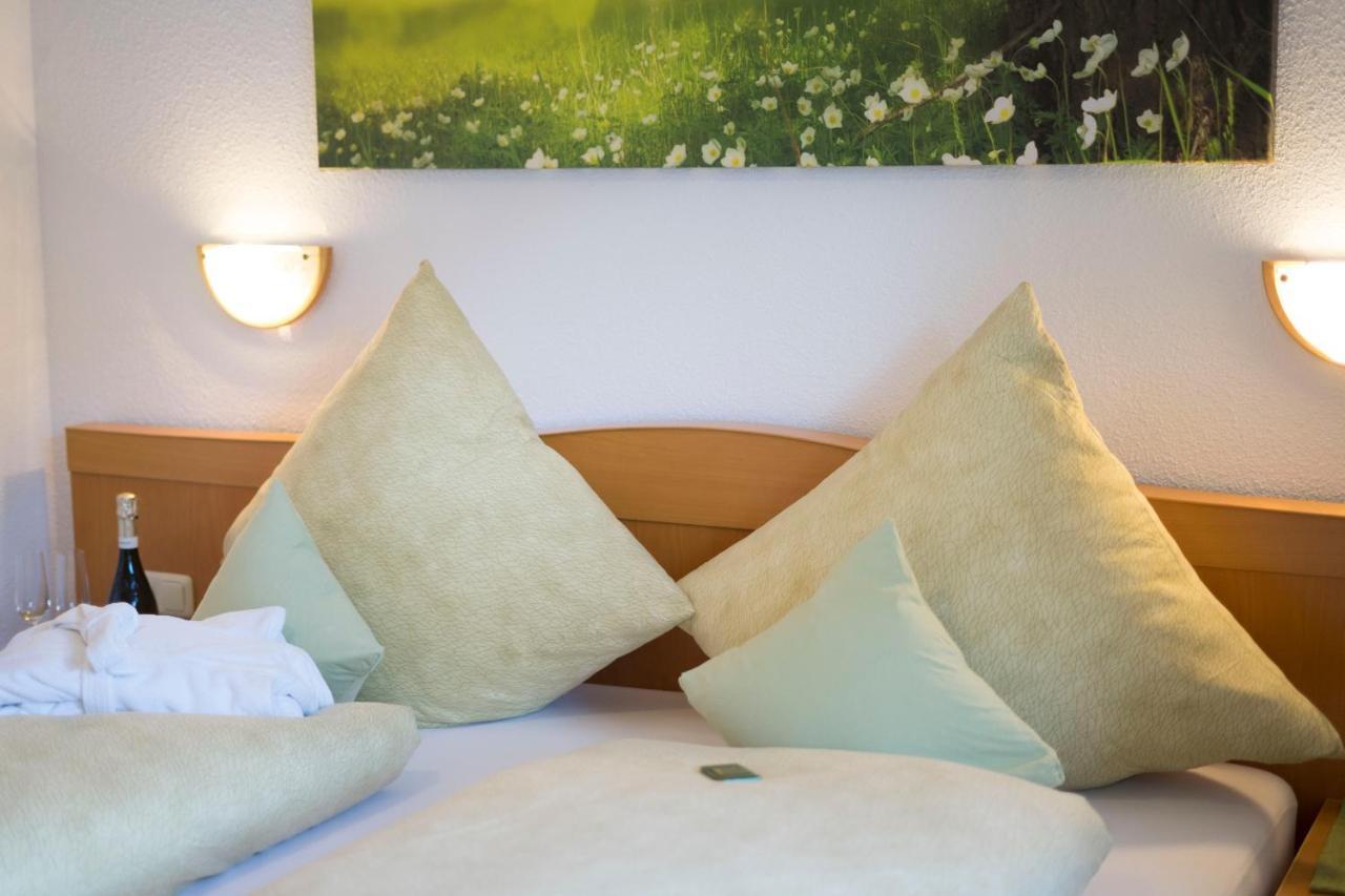 Haus Seidl Apartment โบเดนไมส์ ภายนอก รูปภาพ